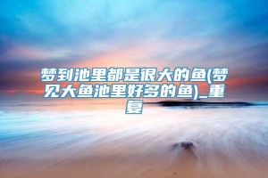 梦到池里都是很大的鱼(梦见大鱼池里好多的鱼)_重复