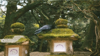 金牛男与摩羯女相处很累(摩羯座与12星座的关系)