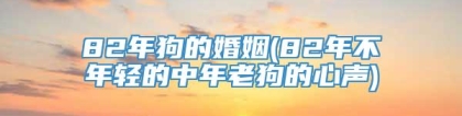 82年狗的婚姻(82年不年轻的中年老狗的心声)
