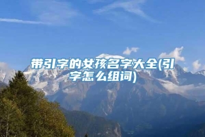 带引字的女孩名字大全(引字怎么组词)