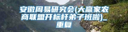 安徽周易研究会(大赢家农商联盟开标杆弟子班啦)_重复