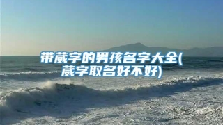 带葳字的男孩名字大全(葳字取名好不好)