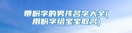 带盼字的男孩名字大全(用盼字给宝宝取名)