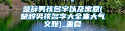 楚辞男孩名字以及寓意(楚辞男孩名字大全集大气文雅)_重复