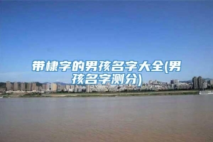 带棣字的男孩名字大全(男孩名字测分)