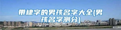 带棣字的男孩名字大全(男孩名字测分)