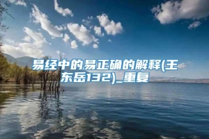 易经中的易正确的解释(王东岳132)_重复