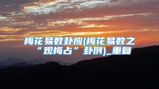 梅花易数卦应(梅花易数之“观梅占”卦例)_重复