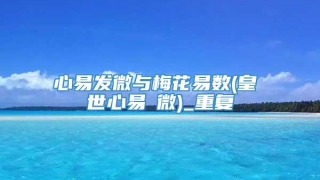 心易发微与梅花易数(皇極經世心易發微)_重复
