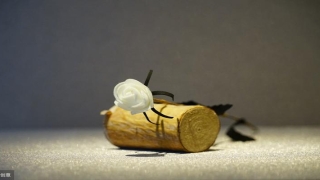 直读法最灵的梅花易数直读法(为什么会看不懂)