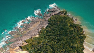 男人脸部痣相图解大全(桃花的各种样子图片)