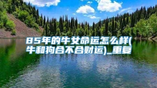 85年的牛女命运怎么样(牛和狗合不合财运)_重复