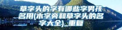 草字头的字有哪些字男孩名用(木字旁和草字头的名字大全)_重复
