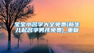 宝宝小名字大全免费(新生儿起名字男孩免费)_重复