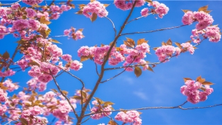 63年属兔男人的婚姻(1963年属兔男一生婚姻状况如何)_重复