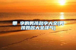 带烜字的男孩名字大全(男孩姓名大全洋气)