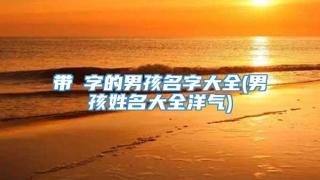 带烜字的男孩名字大全(男孩姓名大全洋气)