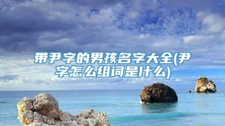 带尹字的男孩名字大全(尹字怎么组词是什么)