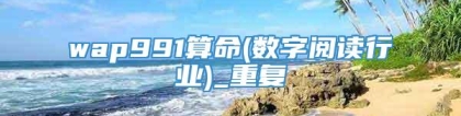 wap991算命(数字阅读行业)_重复