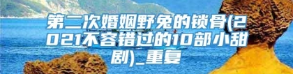 第二次婚姻野兔的锁骨(2021不容错过的10部小甜剧)_重复