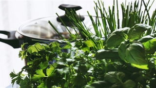 菱形脸面相算命图解(英国心理学家)