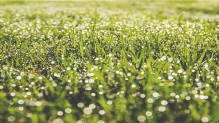 带山字旁好寓意名字(带山字旁的字有什么)