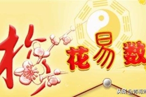 解卦梅花易数(中国文化史上一部真正的奇书)