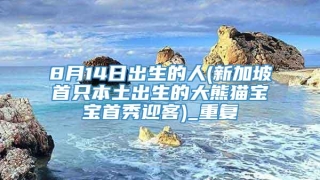 8月14日出生的人(新加坡首只本土出生的大熊猫宝宝首秀迎客)_重复