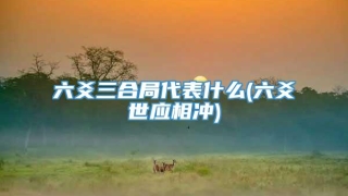 六爻三合局代表什么(六爻世应相冲)