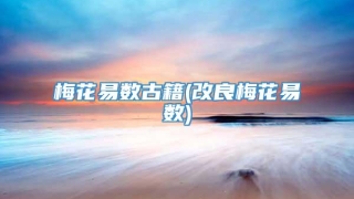 梅花易数古籍(改良梅花易数)