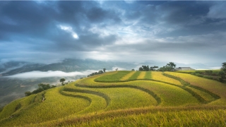 带火字旁的名字(火字旁的字有哪些)