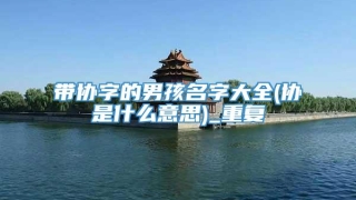 带协字的男孩名字大全(协是什么意思)_重复