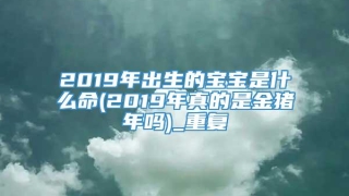 2019年出生的宝宝是什么命(2019年真的是金猪年吗)_重复