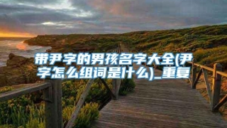 带尹字的男孩名字大全(尹字怎么组词是什么)_重复