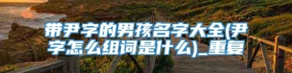 带尹字的男孩名字大全(尹字怎么组词是什么)_重复