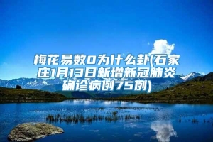 梅花易数0为什么卦(石家庄1月13日新增新冠肺炎确诊病例75例)