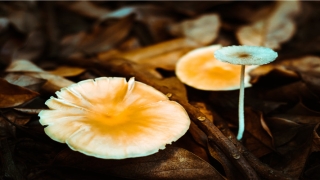 脸上哪里长痣不好 图(男童脸上长痣好不好)