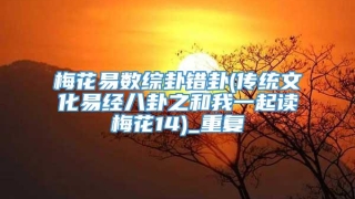 梅花易数综卦错卦(传统文化易经八卦之和我一起读梅花14)_重复