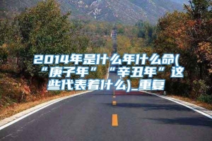 2014年是什么年什么命(“庚子年”“辛丑年”这些代表着什么)_重复