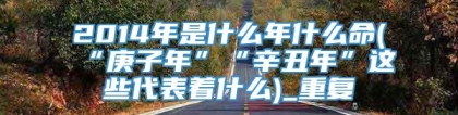 2014年是什么年什么命(“庚子年”“辛丑年”这些代表着什么)_重复