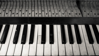 91年羊女几月出生旺夫(91羊女旺夫)