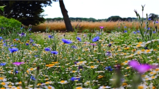 2020年生肖猴运势(2020每月运势生肖运势详解)_重复
