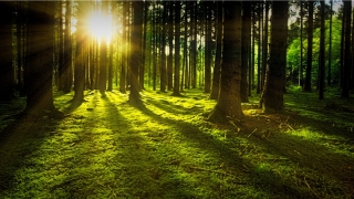 2022女孩适合取啥名字(2022年女孩最佳取名)_重复