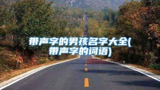 带声字的男孩名字大全(带声字的词语)