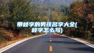 带岐字的男孩名字大全(岐字怎么写)