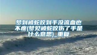 梦到被蛇咬到手没流血也不疼(梦见被蛇咬伤了手是什么意思)_重复