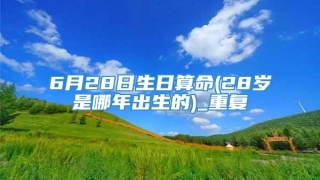6月28日生日算命(28岁是哪年出生的)_重复