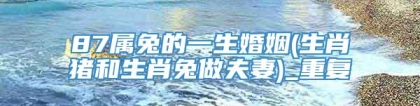 87属兔的一生婚姻(生肖猪和生肖兔做夫妻)_重复