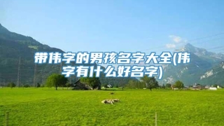 带伟字的男孩名字大全(伟字有什么好名字)