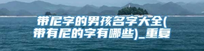 带尼字的男孩名字大全(带有尼的字有哪些)_重复